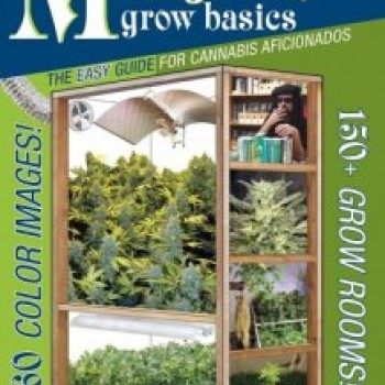 Marijuana Grow Basics Marijuana Grow Basics
