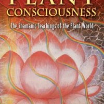 Visionary Plant Consciousness Visionary Plant Consciousness