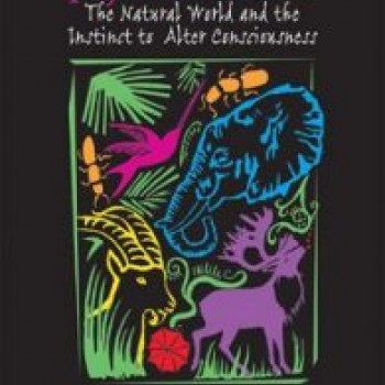 Animals and psychedelics Animals and psychedelics