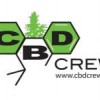 CBD Crew Seeds