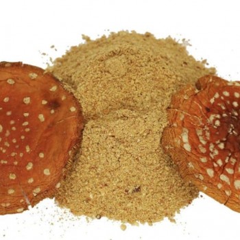 Amanita Muscaria Powder Amanita Muscaria Powder