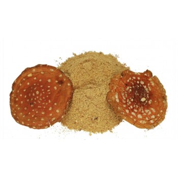 Amanita Muscaria Powder