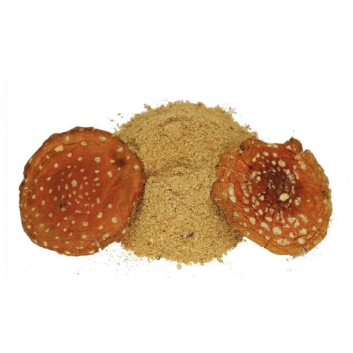 Amanita Muscaria Powder Amanita Muscaria Powder