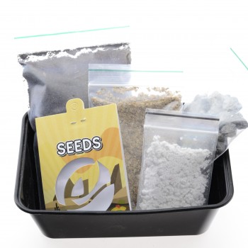 Cactus Growkit- Peruvian Torch Cactus Growkit- Peruvian Torch