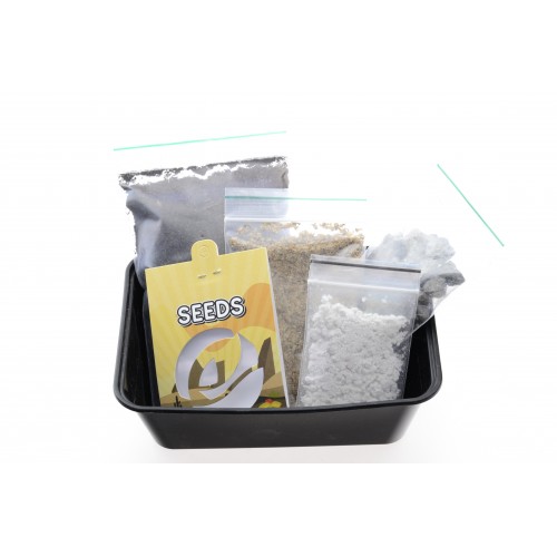 Cactus Growkit- Peruvian Torch Cactus Growkit- Peruvian Torch