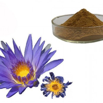 Blue lotus Extract 10:1 Blue lotus Extract 10:1