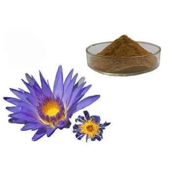 Blue lotus Extract 10:1 