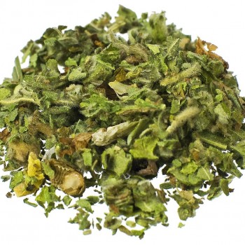 Marshmallow (Althaea officinalis) Marshmallow (Althaea officinalis)