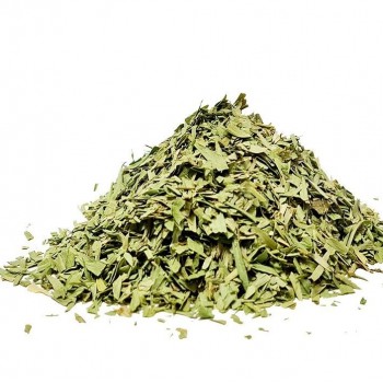 Mexican Tarragon Mexican Tarragon