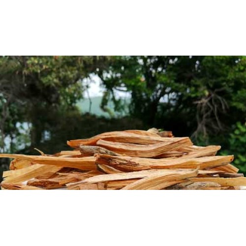 Palo Santo (Bursera graveolens) Palo Santo (Bursera graveolens)