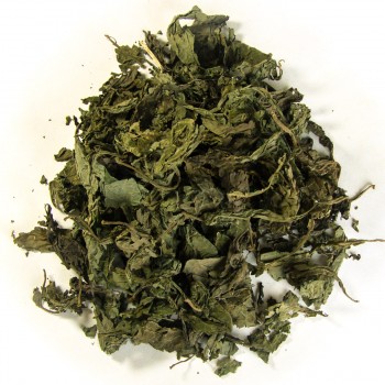 Salvia divinorum leaves