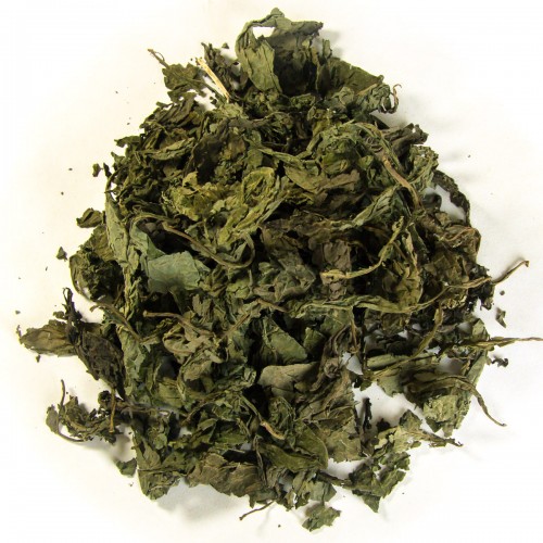 Salvia divinorum leaves Salvia divinorum leaves
