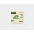 24h Face Cream with Sativa Oil & Olive Oil. (50ml) 24h Face Cream with Sativa Oil & Olive Oil. (50ml)