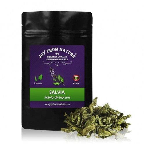 Salvia Divinorum Salvia Divinorum