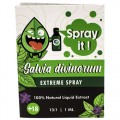 Salvia divinorum  - Extreme Spray