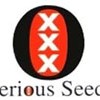 Serious Seeds