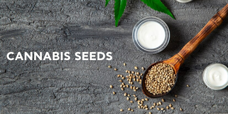 Cannabis Seeds