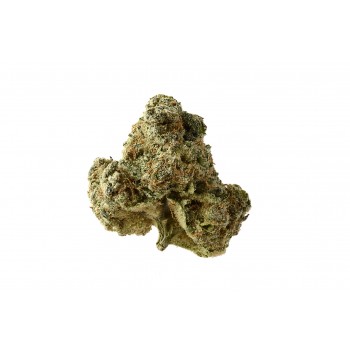 AK OG Kush Feminised Seeds AK OG Kush Feminised Seeds