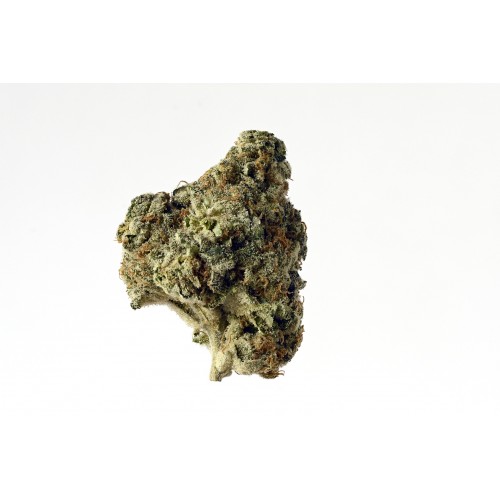 AK Choco Kush Feminised Seeds