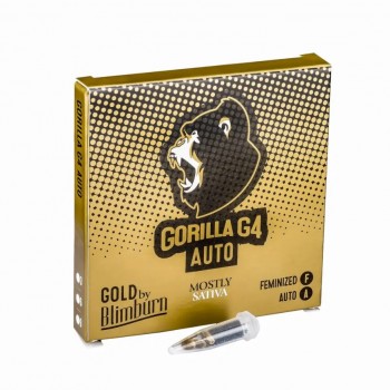 Gorilla Glue #4 Auto Feminised Seeds Gorilla Glue #4 Auto Feminised Seeds