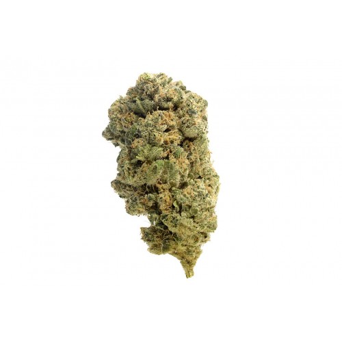 Quicksilver Feminised Seeds
