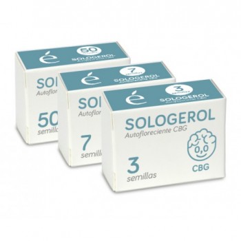 Sologerol CBG Auto Feminised Seeds Sologerol CBG Auto Feminised Seeds
