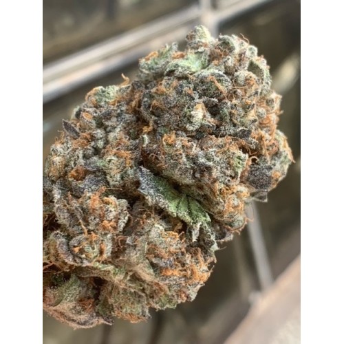 AK-47 Platinum Regular Seeds AK-47 Platinum Regular Seeds