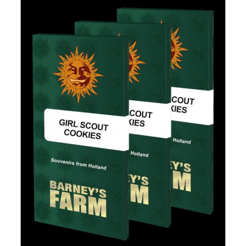 Girl Scout Cookies Feminised Seeds
