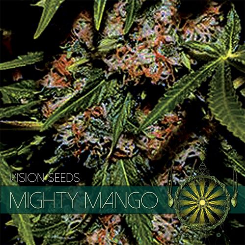 Mighty Mango Bud Feminised Seeds Mighty Mango Bud Feminised Seeds