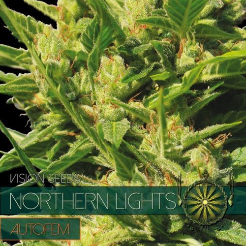 Northern Lights Auto Feminised Seeds