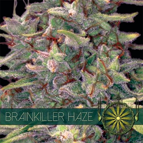 Brainkiller Haze Feminised Seeds Brainkiller Haze Feminised Seeds