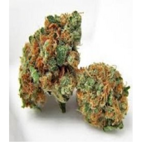 Kendawg Regular Seeds - 10 Kendawg Regular Seeds - 10