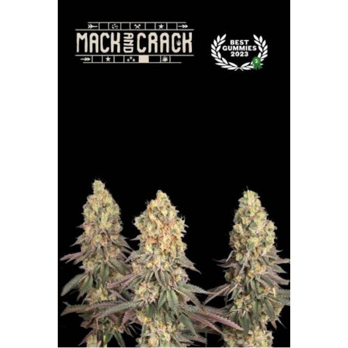 Mack & Crack Feminised Seeds