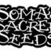Soma Seeds